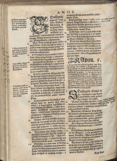 Biblia Brzeska 1563 Color 2000p JPGs - Biblia Brzeska 955.jpg