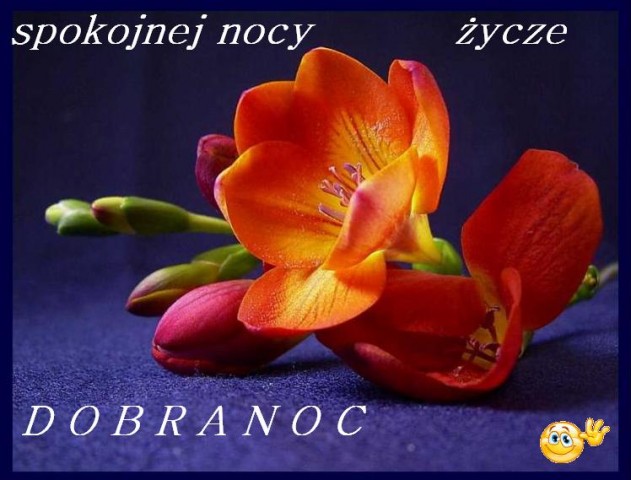 Na Dobranoc - dobranoc -33.jpg