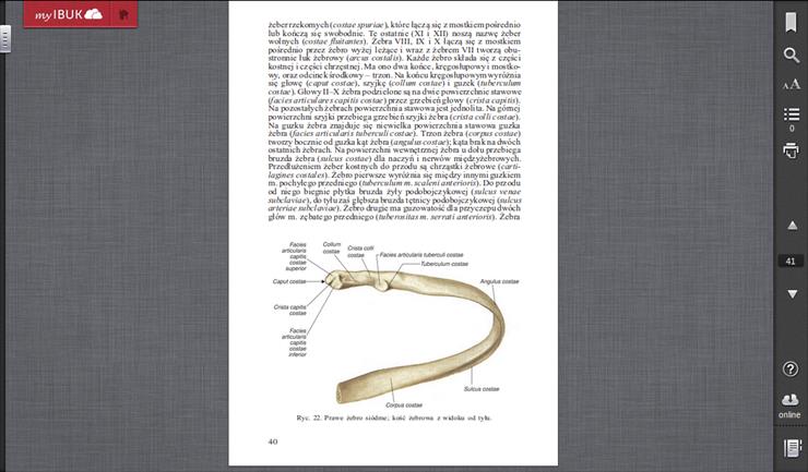 Anatomia - Zrzut ekranu z 2014-10-11 12_32_54.png
