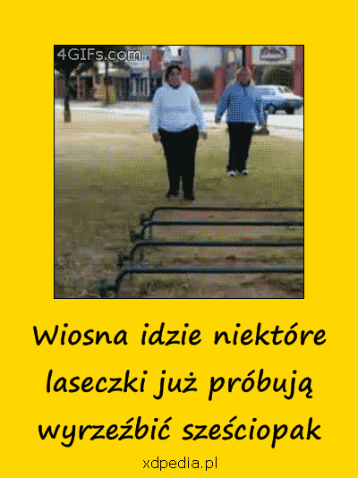 gifowisko - laseczki_juz_probuja_wyrzezbic_szesciopak_5337.gif