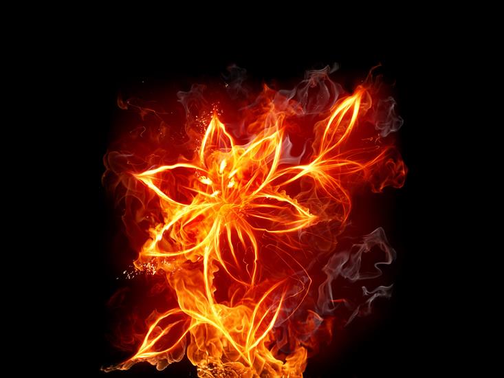 20 Flame Effects Design Wallpapers 1600 X 1200 - 16.jpg