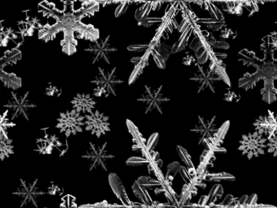 Tła zimowe - bk-Fondos-Navidad-Nieve-005.gif