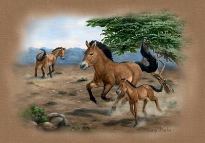 Zwierzęta - konie.jpeg