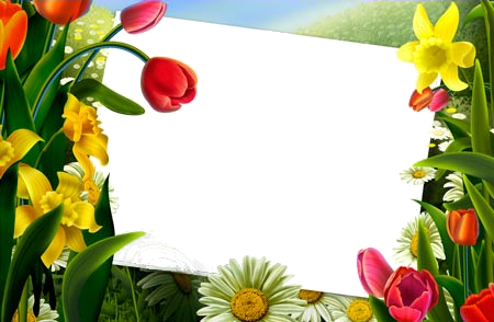 Ramki - flowers_frame.png