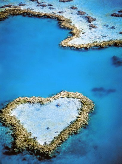 RAFA KORALOWA - great barrier reef.jpg