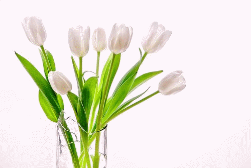 MIŁEGO DNIA - tulips.gif