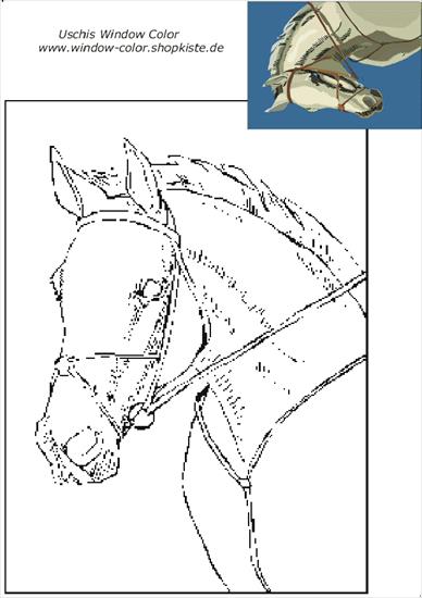 Konie - Konie - 48.gif