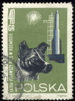 znaczki PL - 1406.bmp