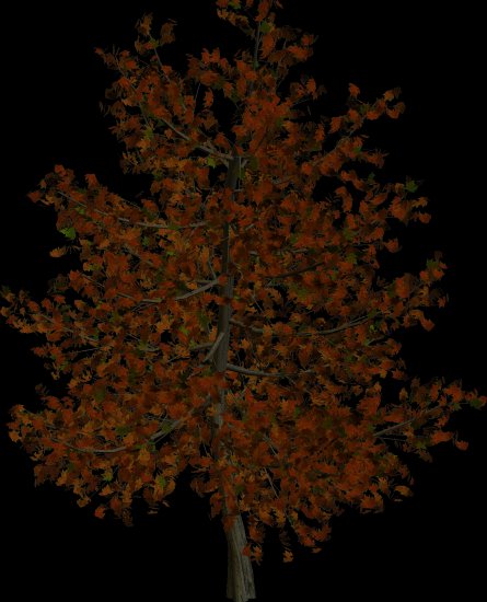 PNG-DRZEWA LIŚCIASTE - R11 - Nature Time 1 - Tree - 106.png