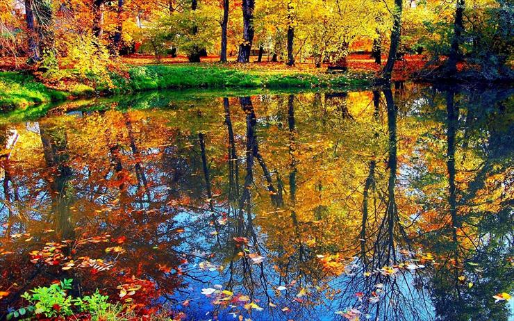  Jesień - 93209_krajobraz_jesienny_odbicie_drzew.jpg