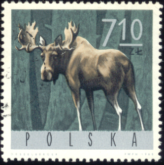 znaczki PL - 1494.bmp