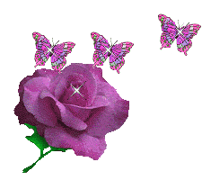 Róża- przepiękny kwiat - 0 26.gif