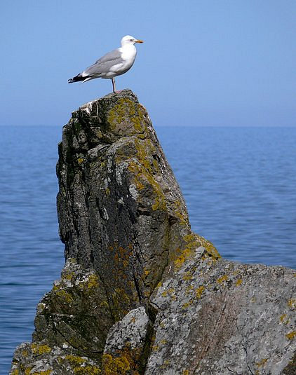 FOTO BORNHOLM - P1110380.jpg