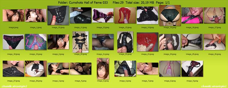 cumshot_paczka_081_2018-06-25 - Cumshots Hall of Fame 033.png