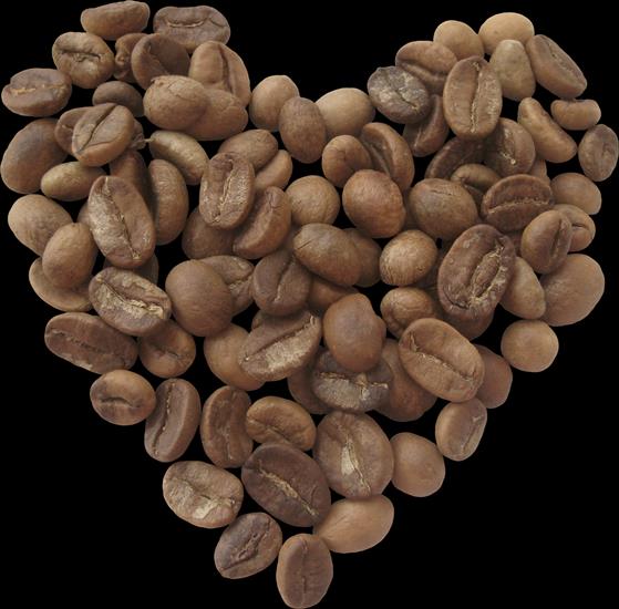 coffee grain - - 174.png