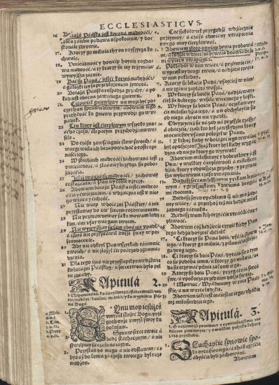 Biblia Brzeska 1563 Color 2000p JPGs - Biblia Brzeska 1077.jpg