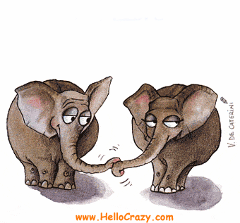 OBRAZKI I ANIMACJE - zakochane słonie.gif