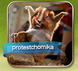 Wasz upload - avatar protest chomika.png