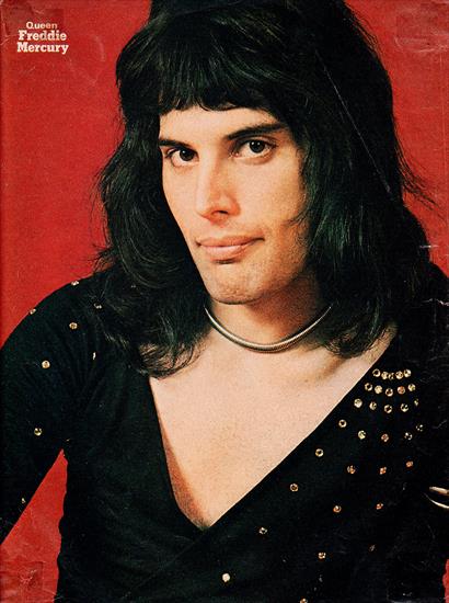 foto - Freddie Mercury _img_0005 _400_18x13.jpg