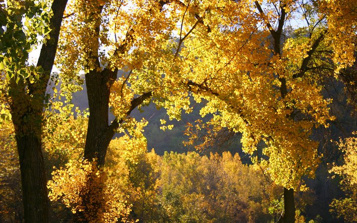 jesienny krajobraz - jesienny-krajobraz-340.jpg