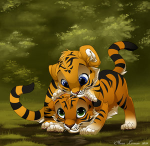Zwierzęta - Tigers.jpg