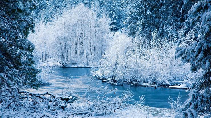 Tapety na Komputer - amazing-winter-view-trees-snow-frozen-white-world-peaceful-river-1600x900.jpg