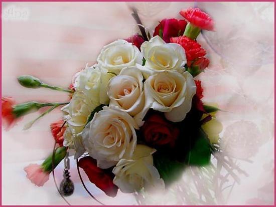 Róże symbol miłości - d538e65b661221cb5381994ea767f071_web.jpg