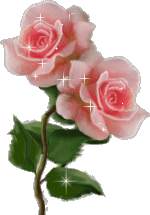 kwiaty - rose211.gif